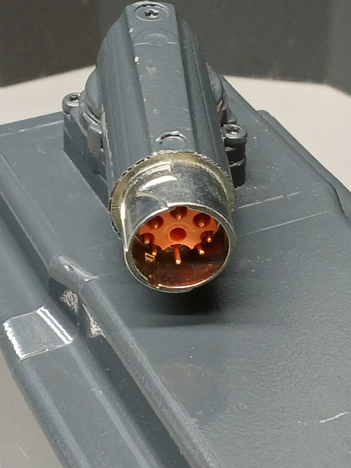 8245031