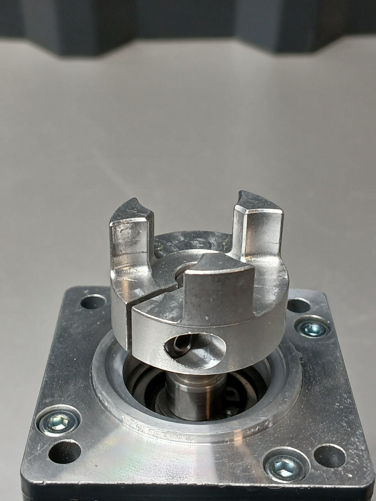 8244976